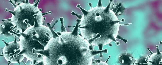 В Забайкальском крае заболели коронавирусом более 5,6 тысяч человек