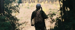 В ялтинских лесах запретили охоту до конца сентября