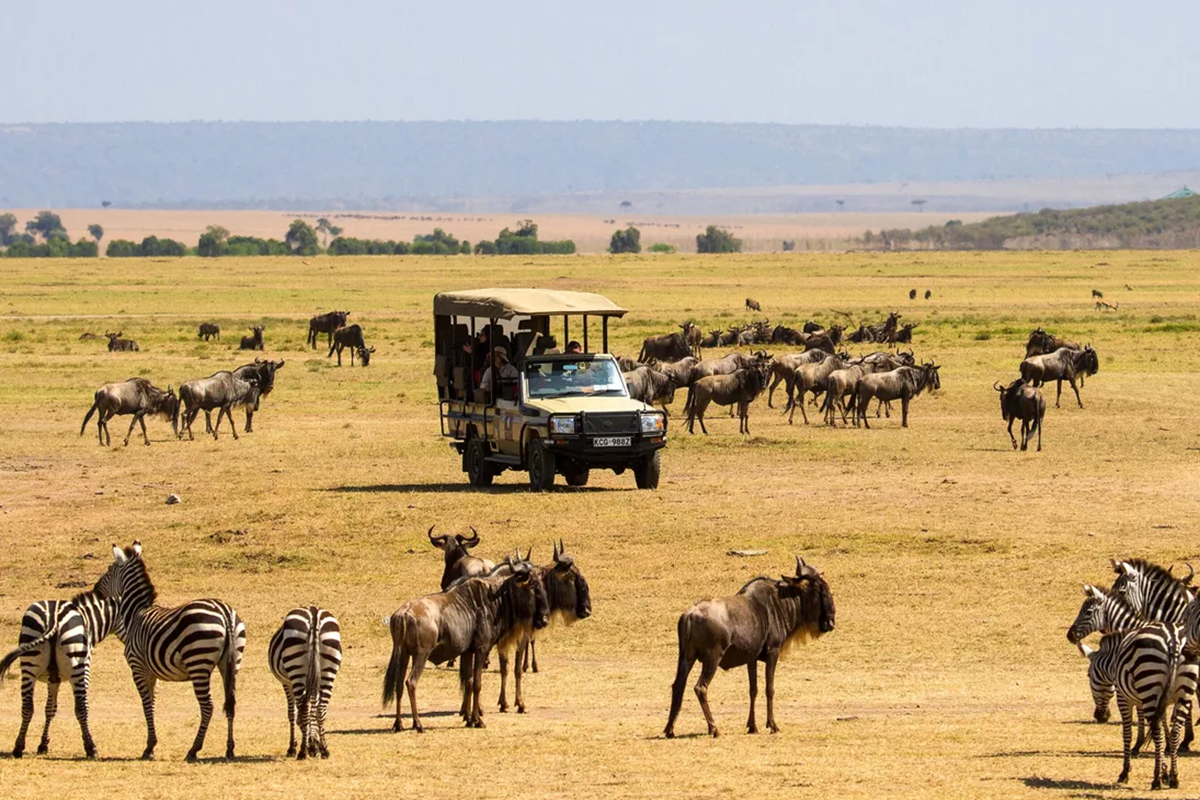 Россияне потеряли интерес к отдыху в европейских странах