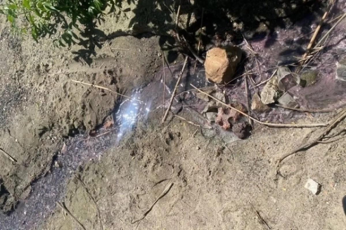 Специалисты минприроды Ростовской области обнаружили следы слива розовой воды в реку Дон