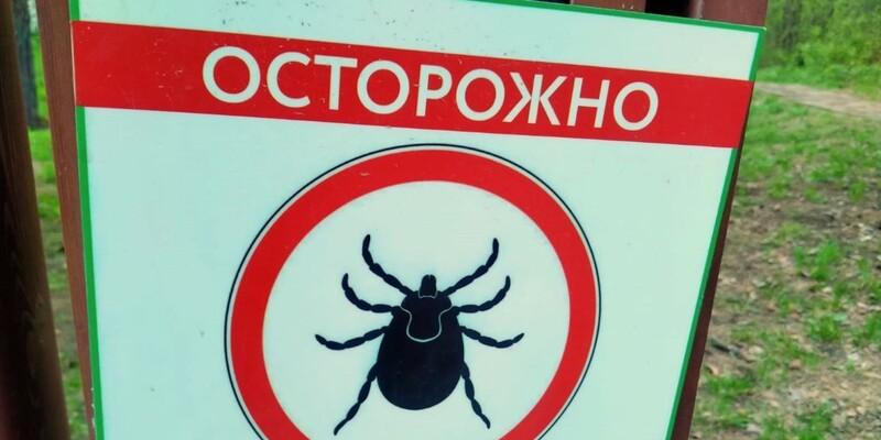 Две смерти от клещевого риккетсиоза в сезон насторожили новосибирских специалистов