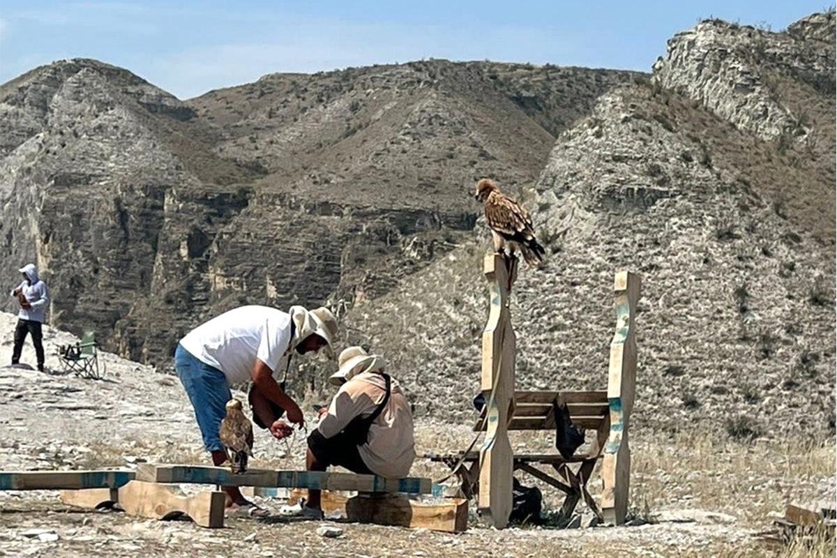 В Дагестане борются с фотосессиями с участием краснокнижных птиц