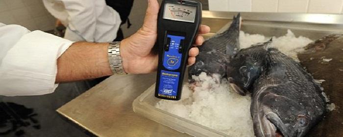 Премьер Японии съел сырую фукусимскую рыбу, пойманную после сброса воды из аварийной АЭС в океан — Видео
