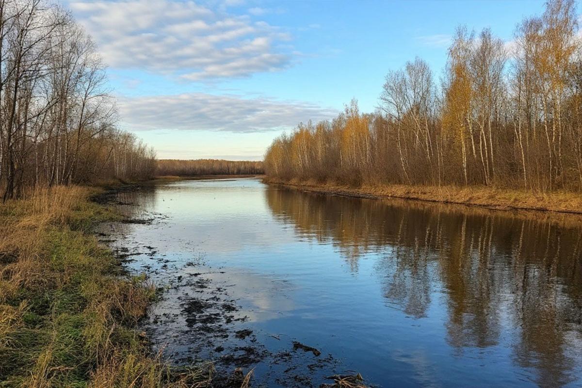 Жители Хабаровска унюхали нефть в реке Черной: кто сливает масло в воду