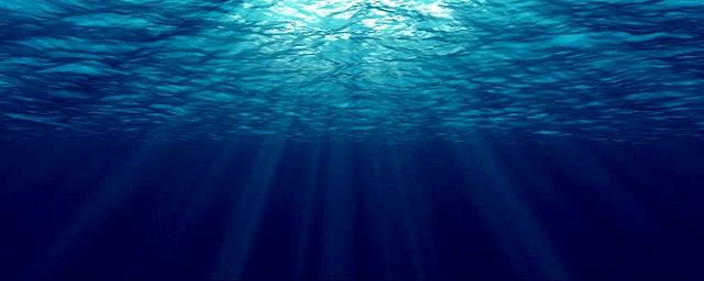 Nature Communications: ученые NOAA обнаружили на дне океана губительные для рыбы волны тепла