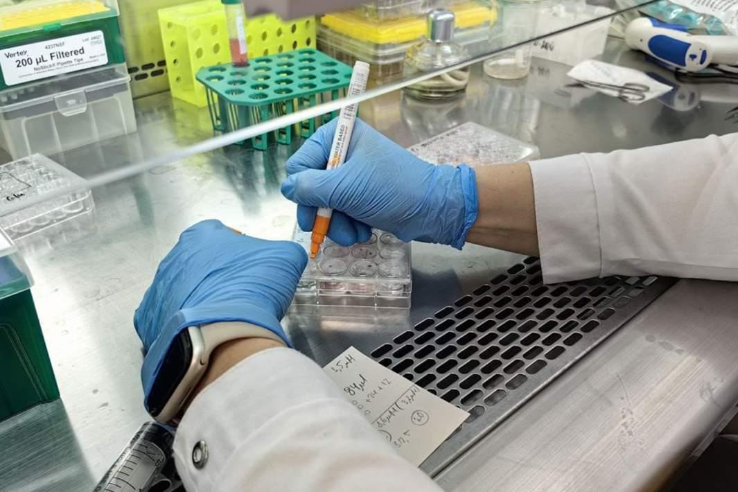 Российские исследователи нашли способ восстановления когнитивных функций при деменции