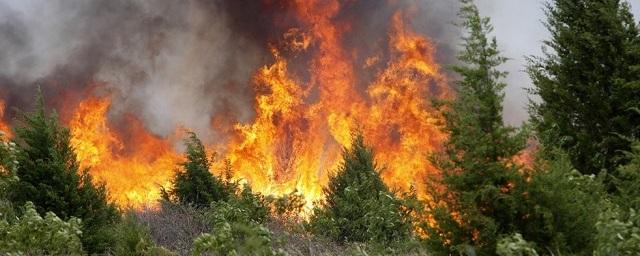 Власти Якутска ввели особый противопожарный режим