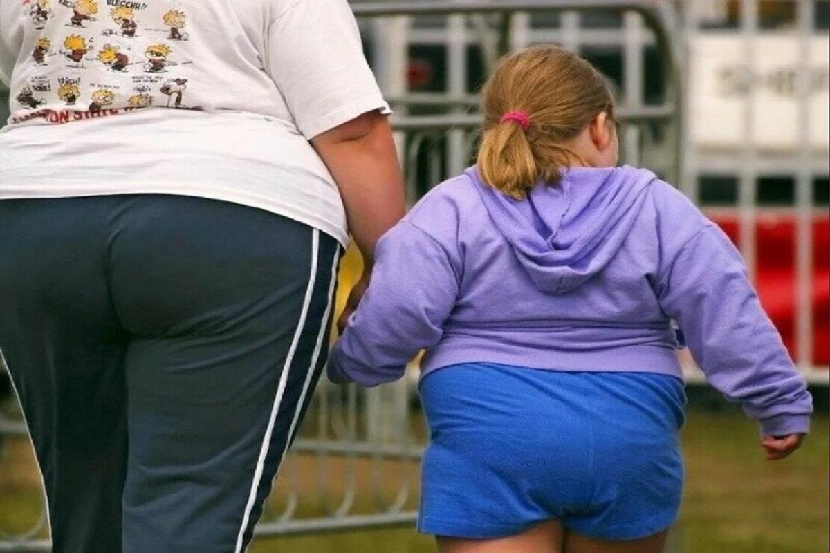 Росстат заявил о росте численности населения страны с ожирением