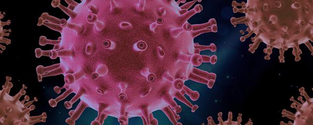 За сутки в России выявили 5065 заболевших коронавирусом