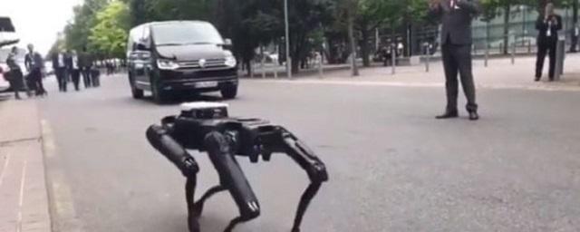 В Ганновере на улице показалась робот-собака Spot Mini