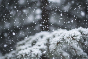 За сутки в Московской области выпало 50% месячной нормы осадков