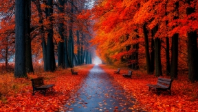 Эксперт Малиновская объяснила, почему осенью мы чаще ощущаем ухудшение самочувствия