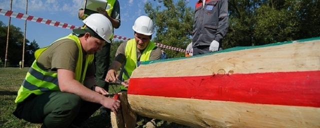 В Тамбове прошел конкурс лесорубов