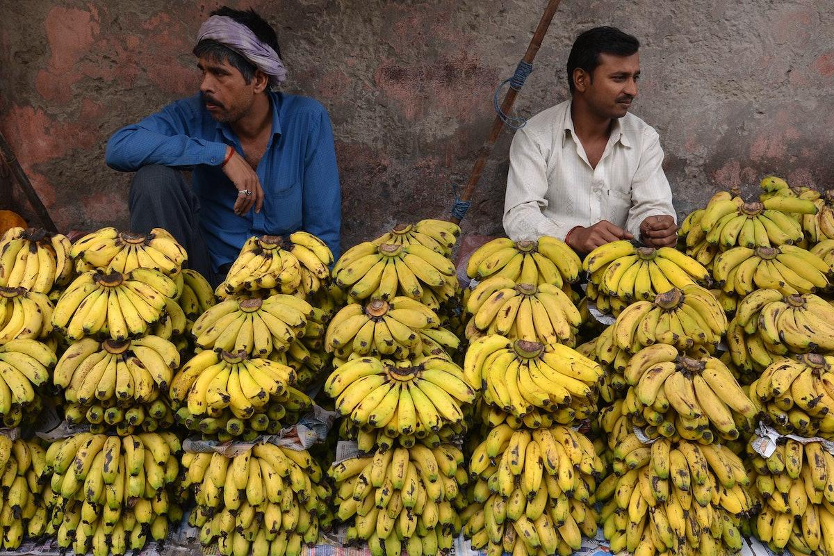 Россия будет импортировать бананы из Индии