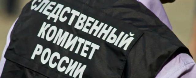 СК начал проверку по факту избиения подростка сверстниками в Новомичуринске