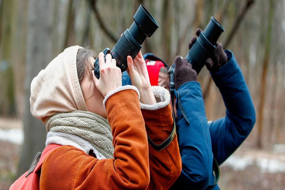 Москвичей приглашают на необычное соревнование по наблюдению за птицами