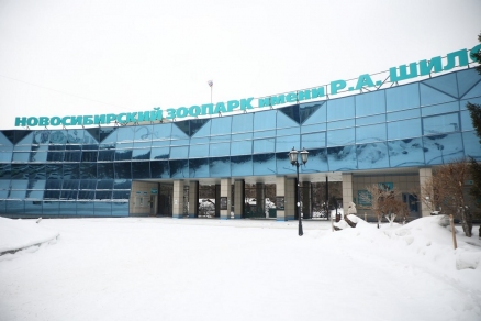 Мэр Максим Кудрявцев: Новосибирский зоопарк расширяется, новые павильоны откроются в 2026 году