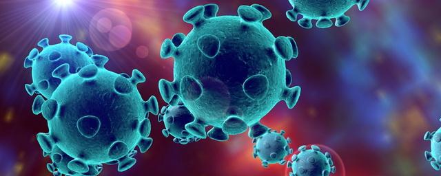 В Новосибирской области выявили 64 новых случаев коронавируса