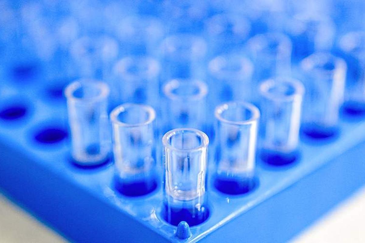 WSJ: В Кремниевой долине создаётся «генетическая суперкаста»