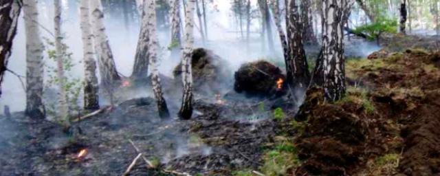 Восемь лесных пожаров ликвидировали в Иркутской области за сутки