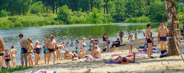 В начале июля пляж в Сестрорецком парке будет полностью готов