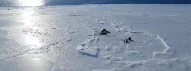 В Магаданской области возле острова Недоразумения нашли тело, вмерзшее в лед