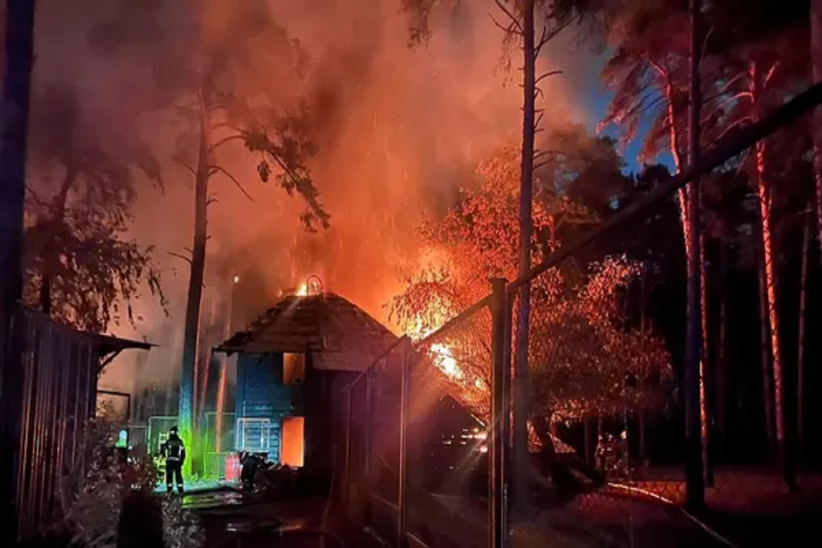 Кудрявцев обещал оказать помощь в восстановлении сгоревшего Новосибирского зоопарка