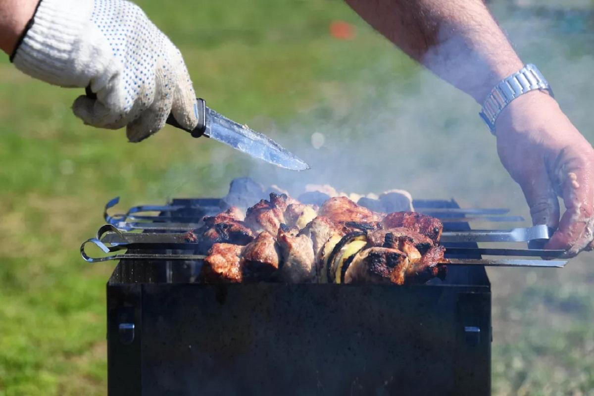 В Новосибирской области ввели запрет на разведение костров в лесах