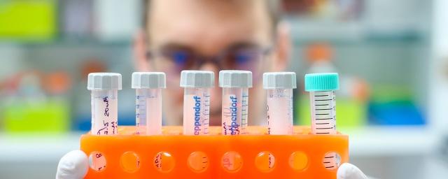 В Мурманской области выявлено 277 случаев COVID-19 за сутки