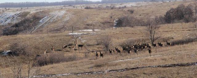 В Алтайском крае появится первый национальный парк