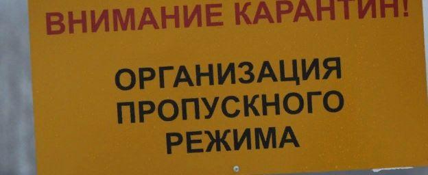 В пригороде Липецка введен карантин по бешенству