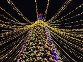 Петрозаводск остался без салютов и народных гуляний в новогоднюю ночь