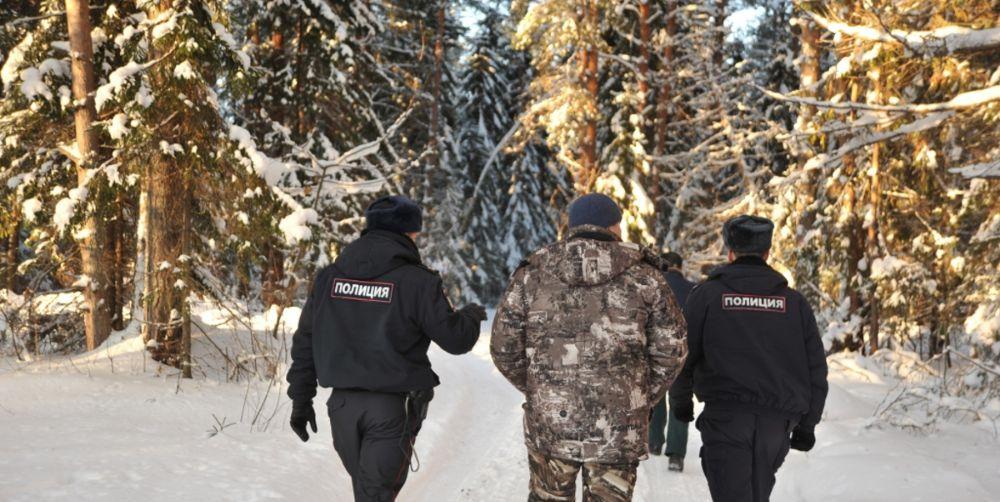 В лесах Приангарья накануне Нового года пройдут рейды по охране хвойных деревьев