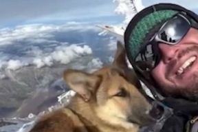 Бездомный пес совершил успешное восхождение на Эльбрус