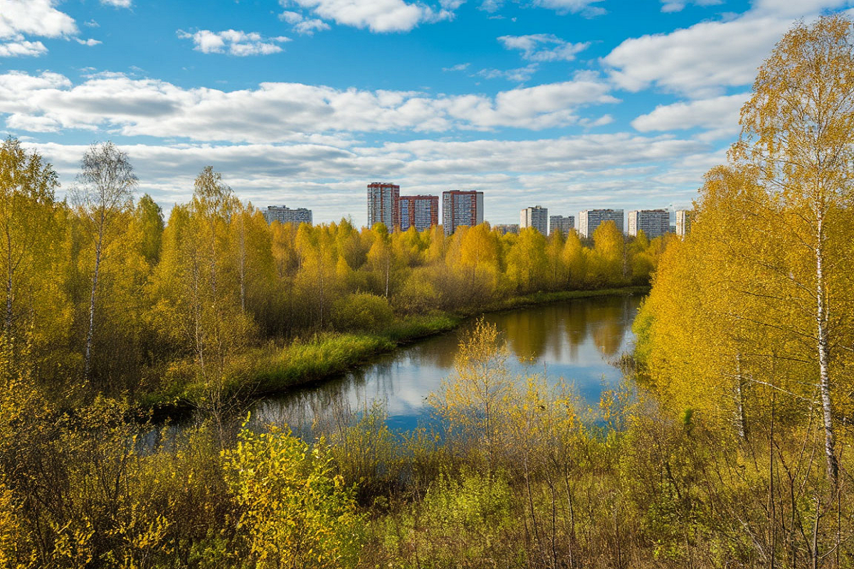 МО вошла в список лидеров экологического рейтинга