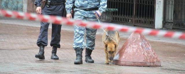 Челябинские полицейские вместе с собаками проверят храмы