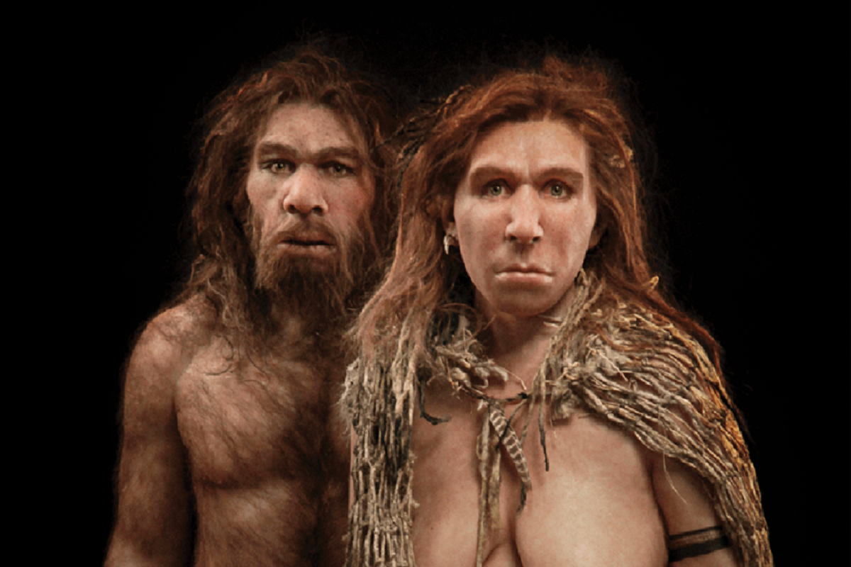 Ученые доказали, что неандертальцы обладали более острым умом, чем считалось ранее