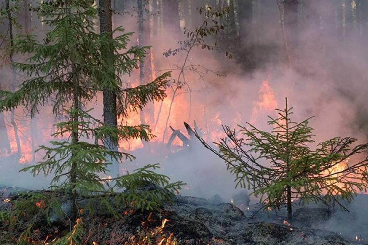Сальдо рассказал, как ВСУ запугивают мирных жителей Херсонской области