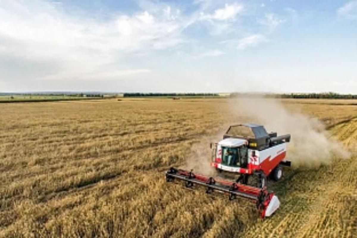 В России собрали 50 млн тонн зерновых и зернобобовых с 15 млн га