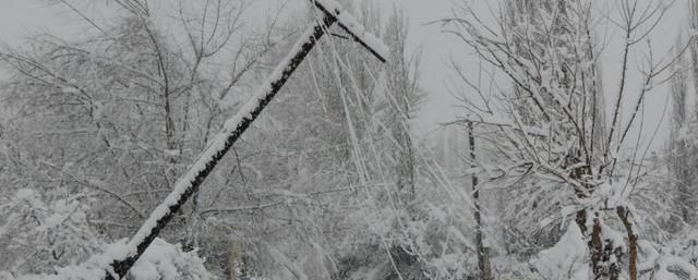 Во Владимирской области без электричества остались 4,5 тысячи человек