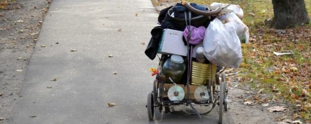 Жительница города Омск предложила бездомным поселиться у себя дома