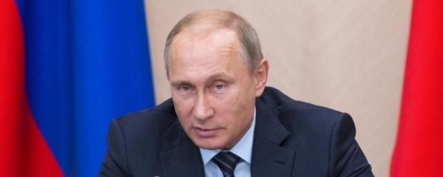 Путину рассказали о ходе разминирования Пальмиры