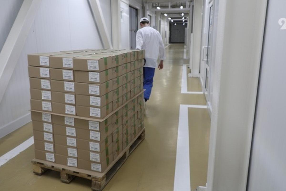 Экспорт пищевой продукции Ставрополья за полгода превысил 200 млн долларов