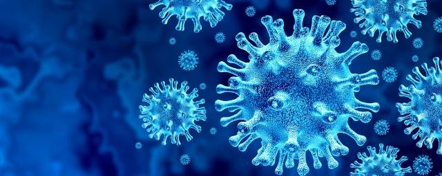 В Рязанской области обнаружены еще 62 заразившихся COVID-19