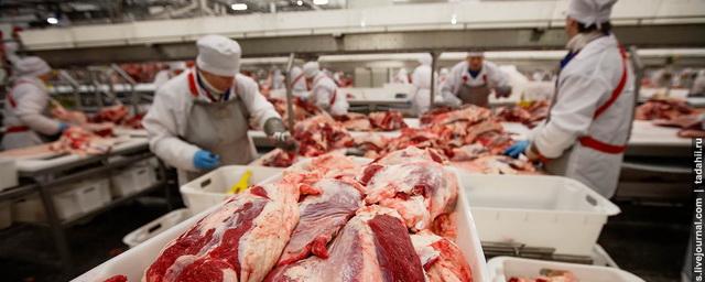 В Волгоградской области открыли новый мясоперерабатывающий завод