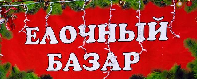 Не менее 35 ёлочных базаров будут работать в Новосибирске