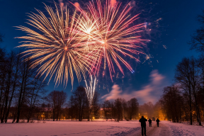 Миронов прокомментировал введенные в Латвии штрафы за запуск салютов и хлопушек