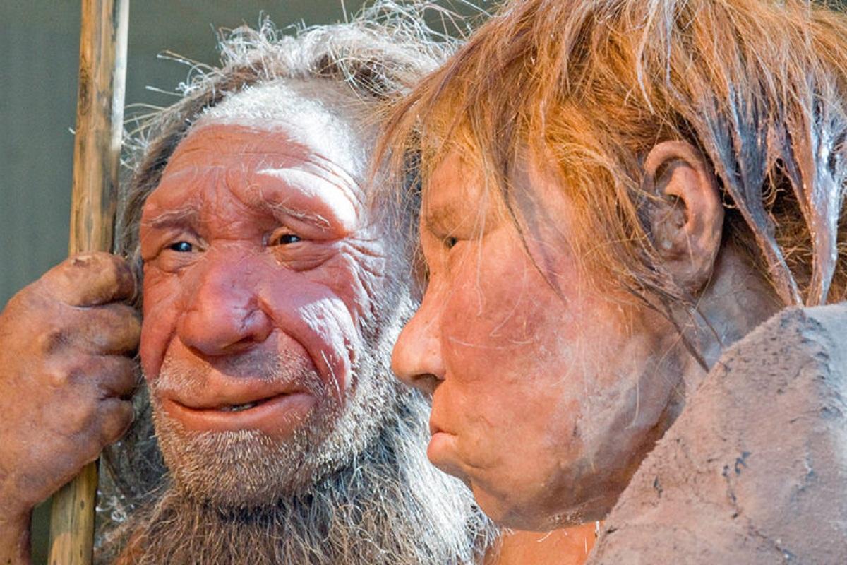 Впервые при раскопках в Китае обнаружен целый череп денисовца