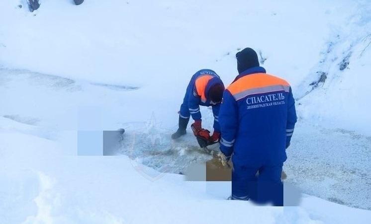 В Ленинградской области из замерзшего ручья с помощью бензопилы извлекли труп женщины