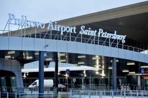 Pulkovo Airport obliged to secure airplanes from birds